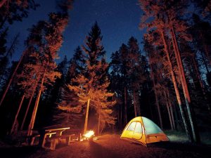 Tent under a tree